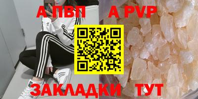 spice Кингисепп