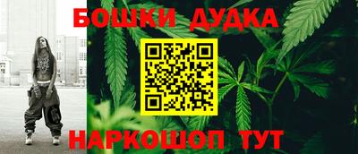 spice Кингисепп