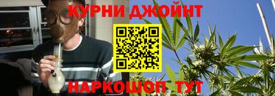 spice Кингисепп