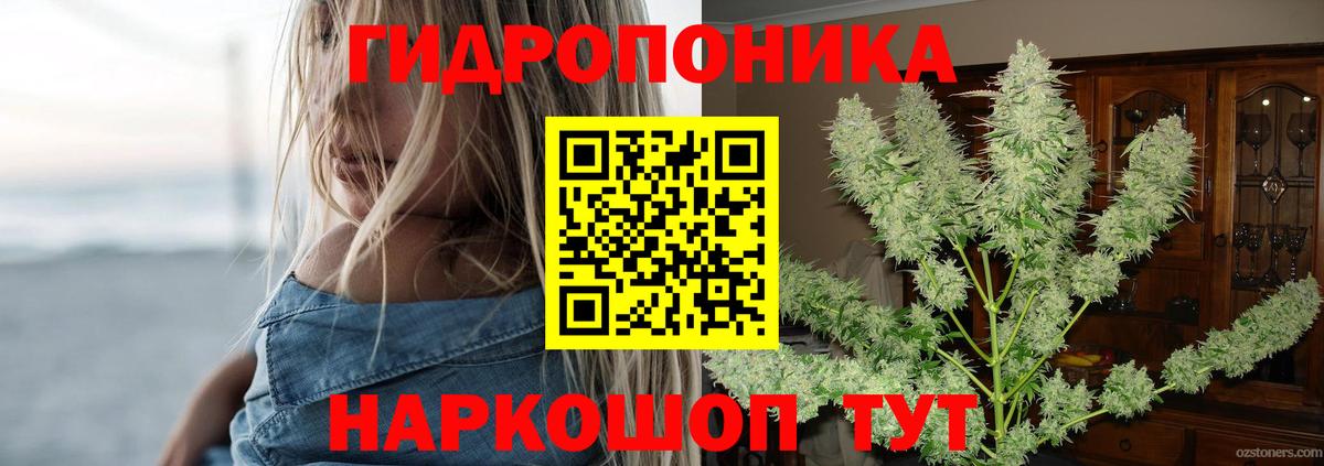 Канабис гибрид Среднеуральск